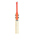Gray-Nicolls GN3 Astro English Willow Cricket Bat