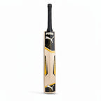 Puma Electrify JR Kashmir Willow Cricket Bat