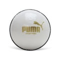 Puma Cricket Power Ball