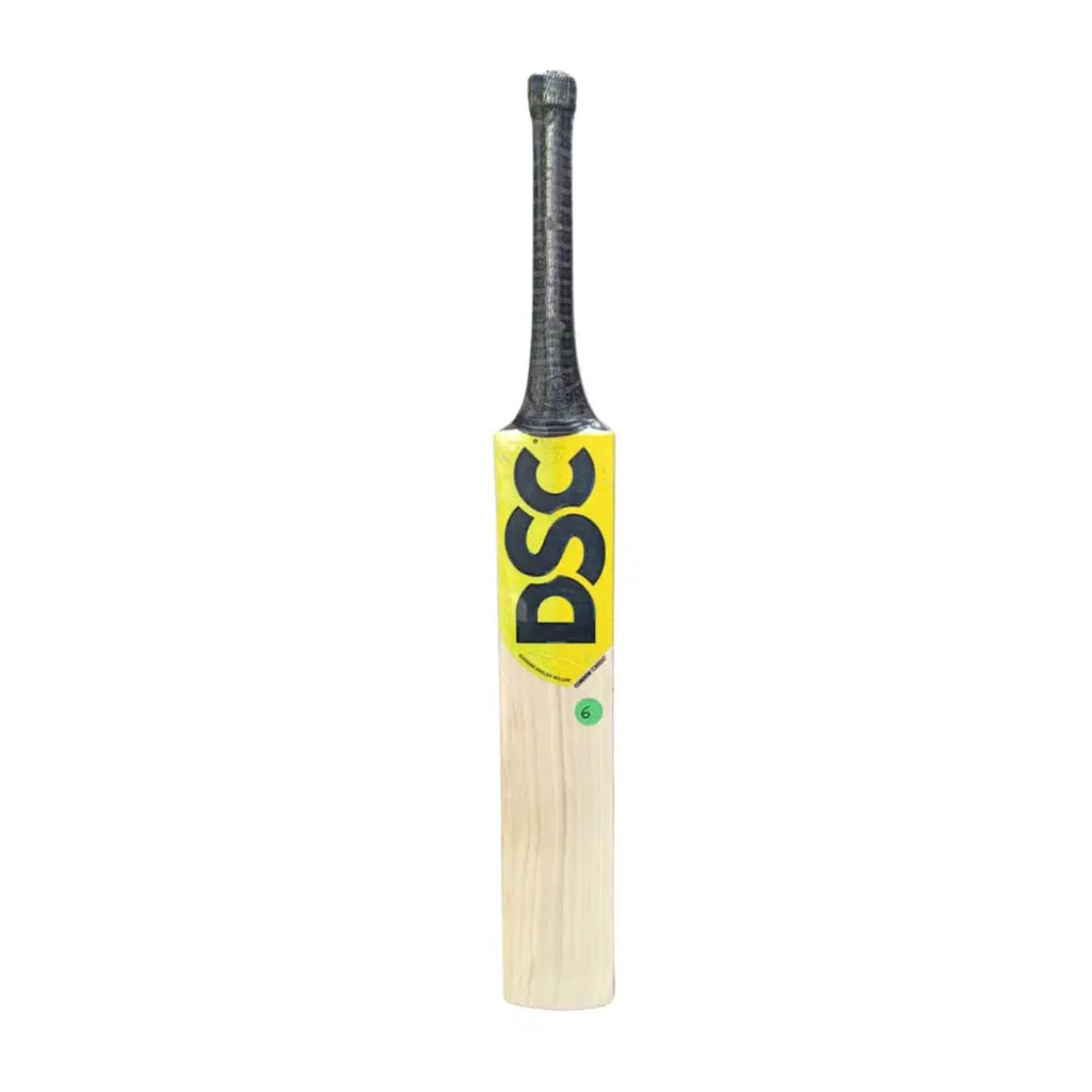 DSC Condor Torrent English Willow Cricket Bat