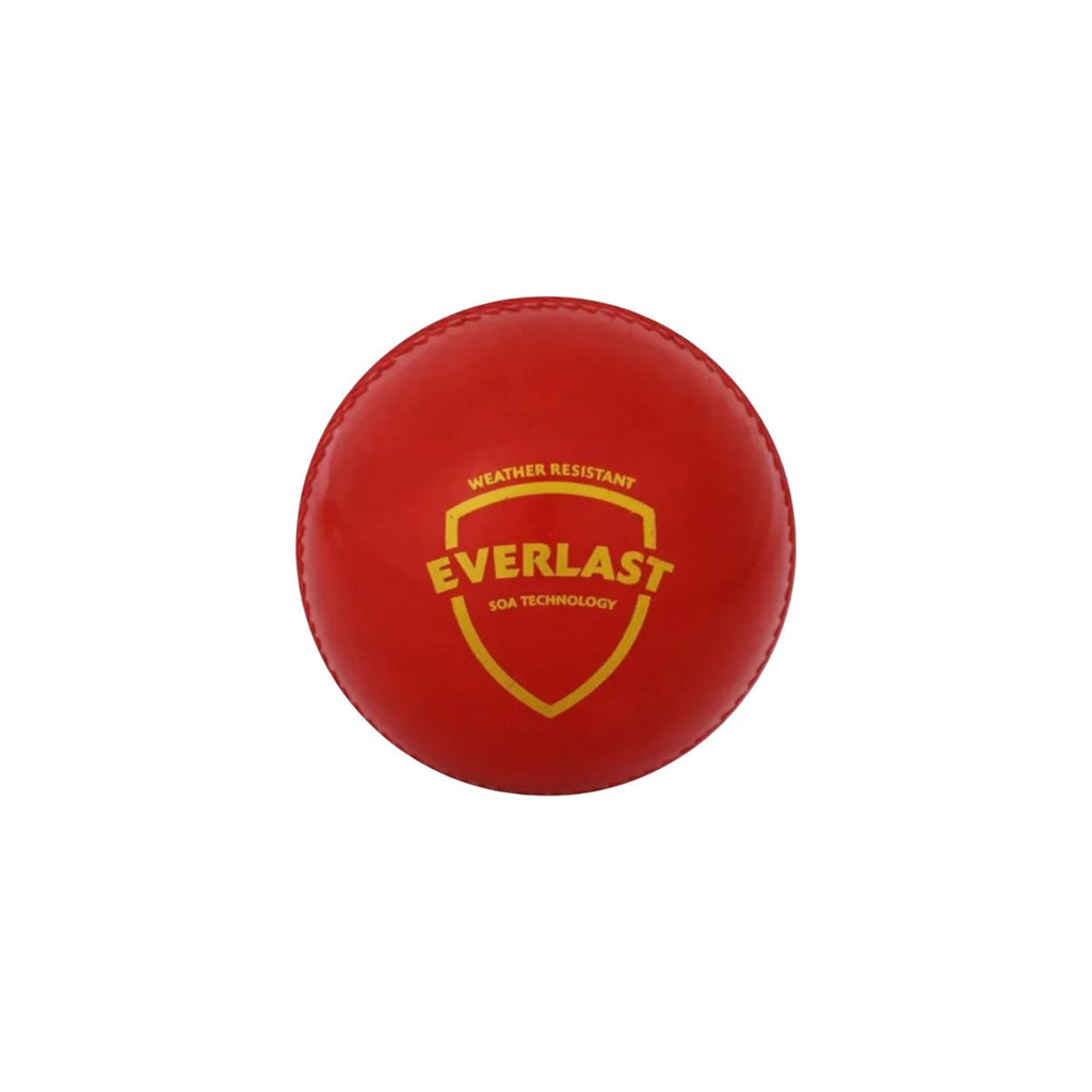 SG Everlast Cricket Ball