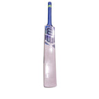 EM Quantum Kashmir Willow Cricket Bat