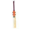 Gray Nicolls Gold Edition 4.0 English Willow Cricket Bat