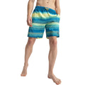 Speedo Men's Recycled Polyster Placement Printed Leisure Watershorts