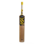 DSC Radius Kashmir Willow Cricket Bat (Tennis)