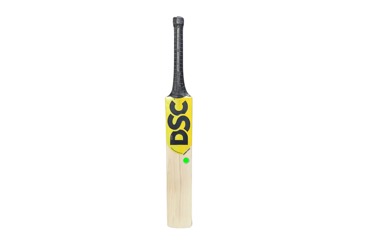 DSC Condor Torrent English Willow Cricket Bat