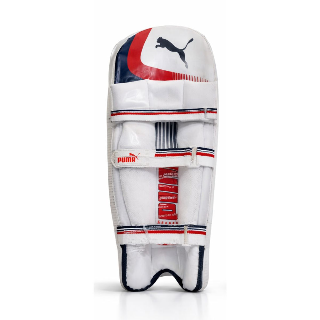 Puma Liberate Cricket Batting Pads