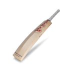 SG Arc 4.0 (Sunny Tonny) English Willow Cricket Bat
