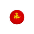DSC Synthetic Wobble Cricket Ball