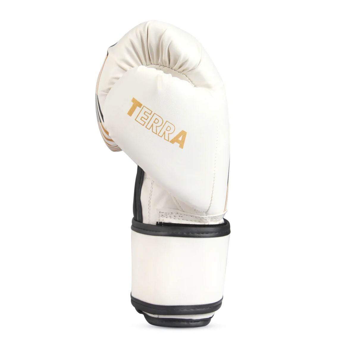 RXN Boxing Gloves