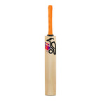 Kookaburra Aura Pro 8.0 Kashmir Willow Cricket Bat