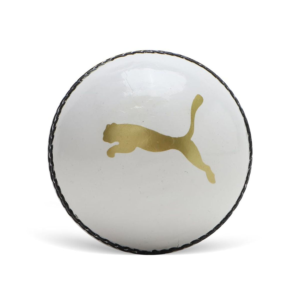Puma Cricket Power Ball
