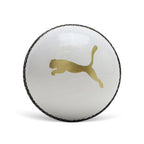 Puma Cricket Power Ball