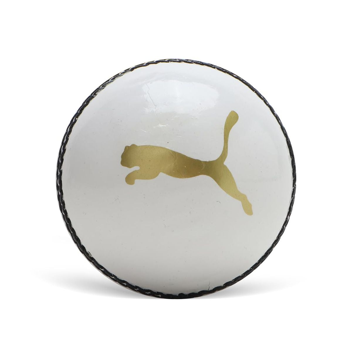 Puma Cricket Power Ball