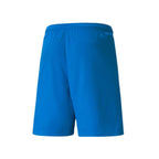 Puma Team Liga Shorts