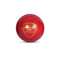 SG Everlast Tec Cricket Ball