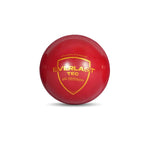 SG Everlast Tec Cricket Ball