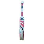 Puma Liberate Kashmir Willow Cricket Bat
