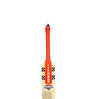 Gray Nicolls Astro Player Profile English Willow Cricket Bat