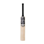 SS Ton Limited Edition English Willow Cricket Bat