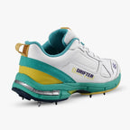 DSC Drifter Cricket Shoes