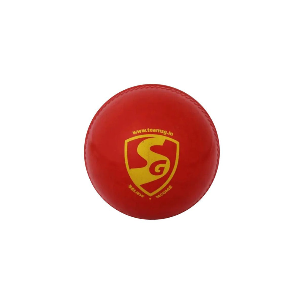 SG Everlast Cricket Ball