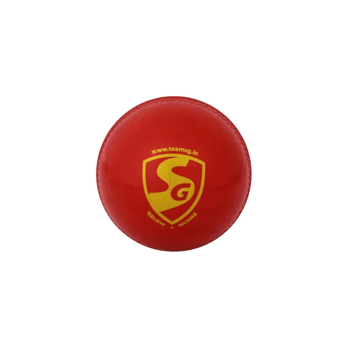 SG Everlast Cricket Ball