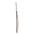 SS Retro 5 Star English Willow Cricket Bat
