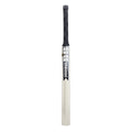 SS Middler Kashmir Willow Cricket Bat