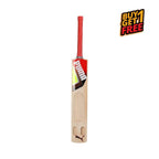 Puma Future STB Bat 1.1 Kashmir Willow Cricket Bat (BOGO)
