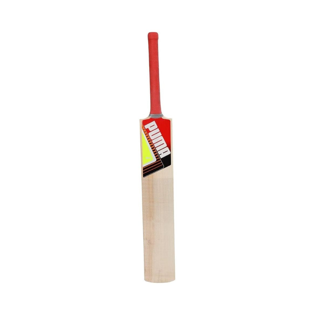 Puma Future STB Bat 1.1 Kashmir Willow Cricket Bat (BOGO)
