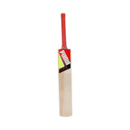 Puma Future STB Bat 1.1 Kashmir Willow Cricket Bat (BOGO)