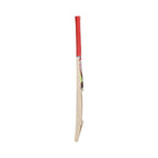 Puma Future STB Bat 1.1 Kashmir Willow Cricket Bat (BOGO)
