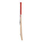 Puma Future STB 1.1 Kashmir Willow Cricket Bat