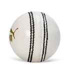 Puma Cricket Power Ball