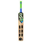DSC Wildfire Fervor Kashmir Willow Cricket Bat