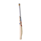 EM 360 Play Burst English Willow Cricket Bat