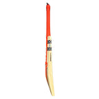 Gray Nicolls Astro Player Profile English Willow Cricket Bat