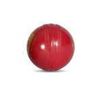 SG Everlast Tec Cricket Ball