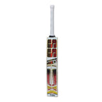 SS Master Kashmir Willow Cricket Bat