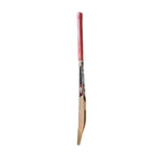 MRF Prodigy Junior Kashmir Willow Cricket Bat