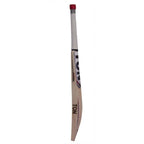 SS Ton Super English Willow Cricket Bat