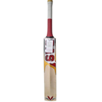 BAS Vampire Bow 20/20 English Willow Cricket Bat