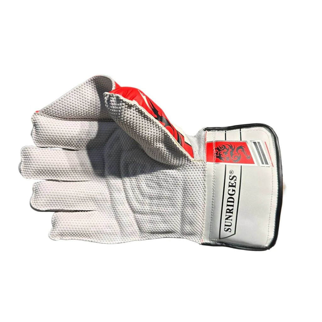 SS Dragon Cricket Keeping Gloves