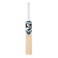 SG RP Pro Kashmir Willow Cricket Bat