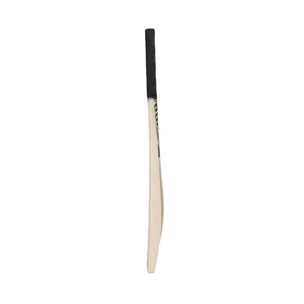 Puma Future STB 2.1 Kashmir Willow Cricket Bat (BOGO)