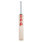 SG Arc 4.0 (Sunny Tonny) English Willow Cricket Bat
