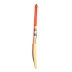 Gray-Nicolls GN4 Astro English Willow Cricket Bat
