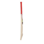 Puma Future STB 1.1 Kashmir Willow Cricket Bat