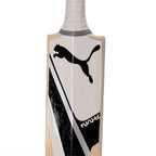 Puma Future 8.1 English Willow Cricket Bat